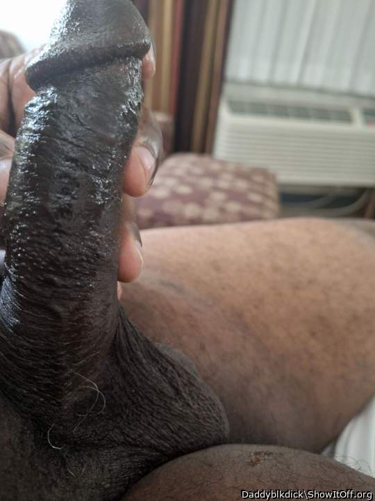 Photo of a snake from Daddyblkdick