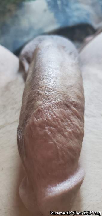 Photo of a sausage from Mirameiah