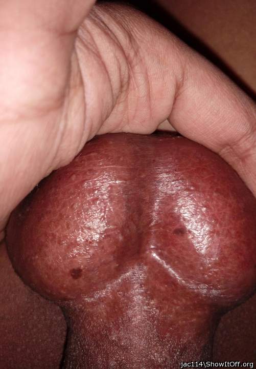 Testicles Photo from jac114
