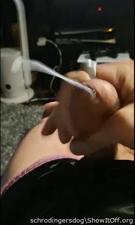 Photo of a python from schrodingersdog