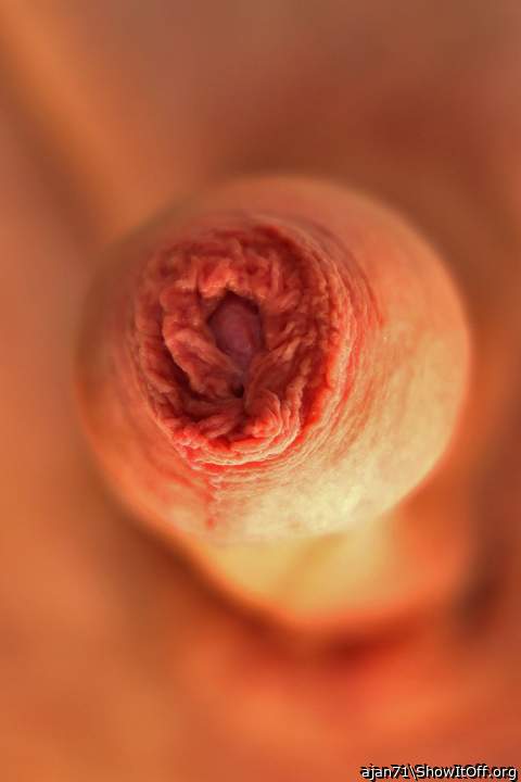 Photo of a dick from ajan71