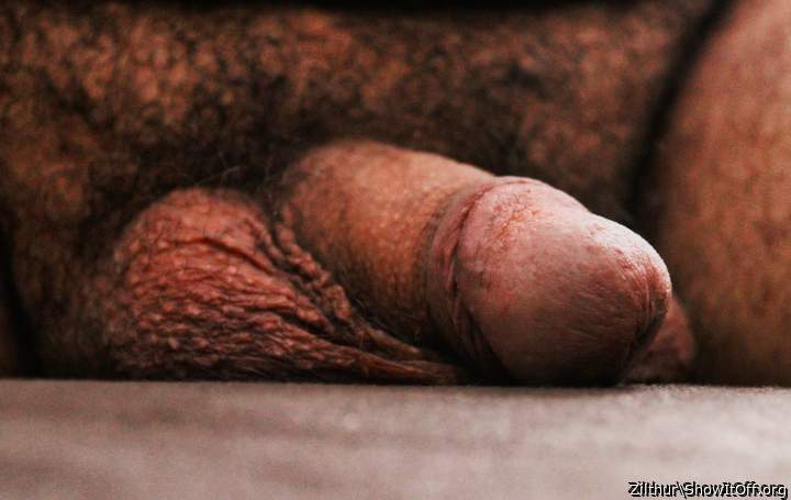 Photo of a horn from Zilthur