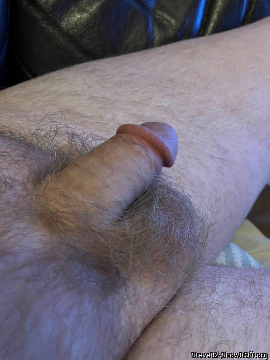 Photo of a bald-headed mouse from Steve82
