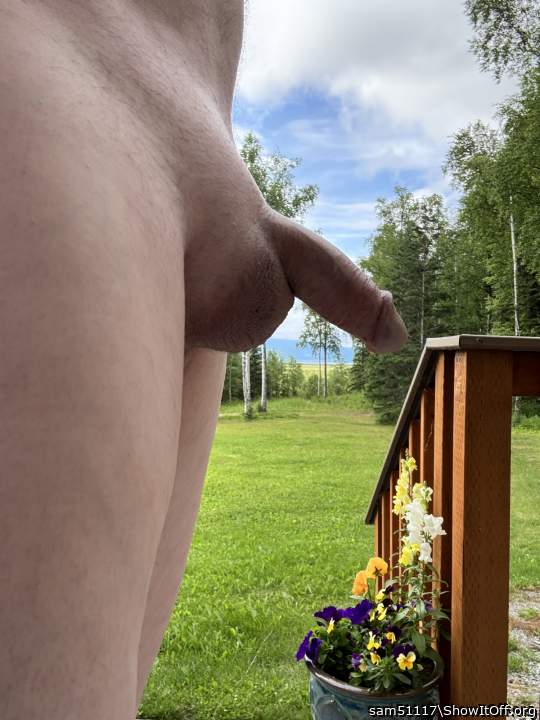Photo of a dong from sam51117