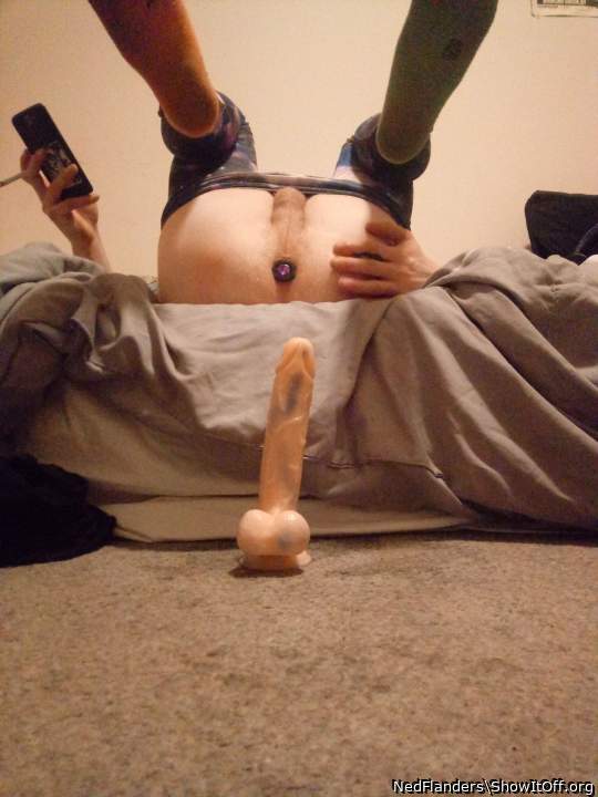 Photo of a cavalier from NedFlanders