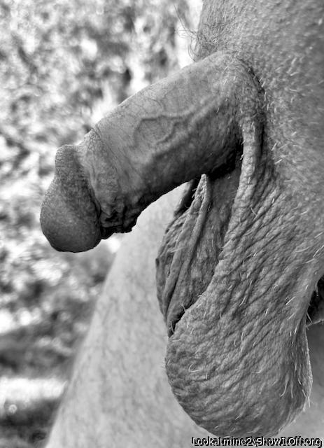 My Cock and Balls in the Warm Summer Air