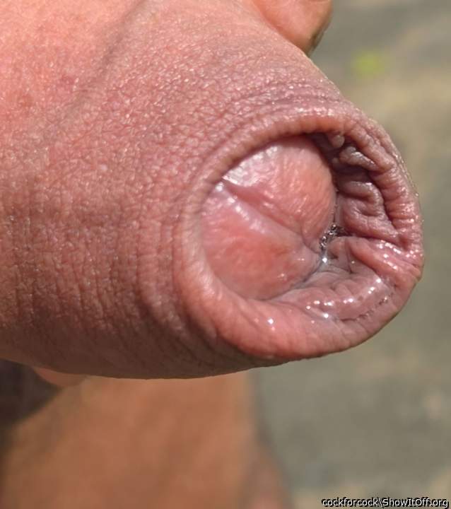 Photo of a phallus from cockforcock