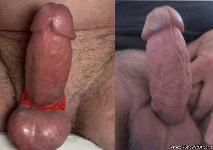 jed61980 cock vs vitezx cock