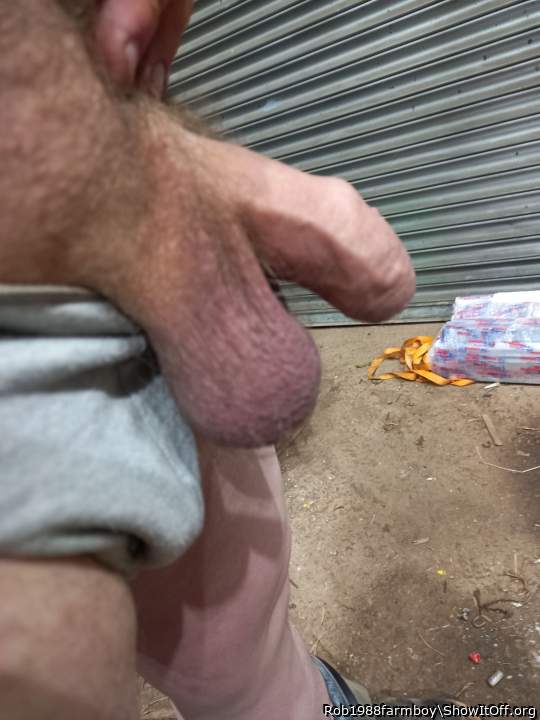 Testicles Photo from Rob1988farmboy