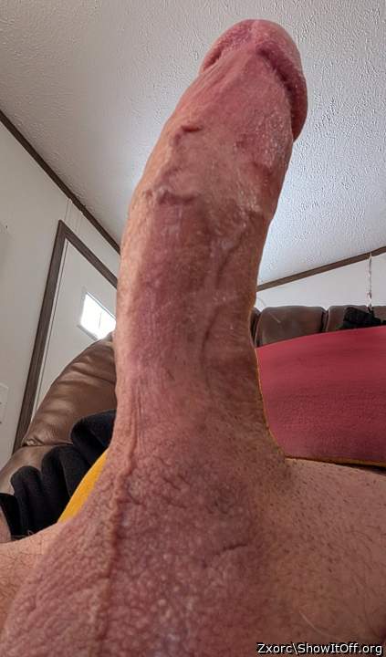 Photo of a pocket rocket from Zxorc