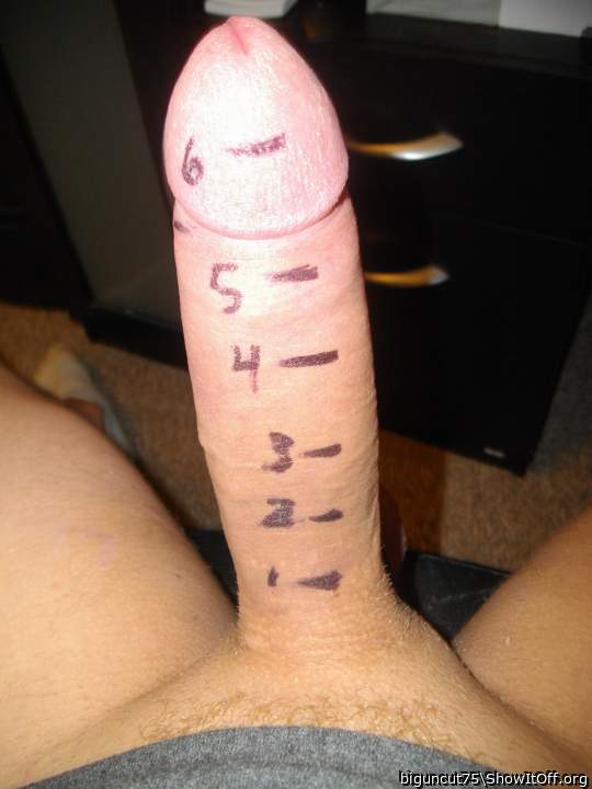 Photo of a python from biguncut75