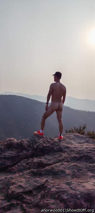 Photo of a python from anorwoo001