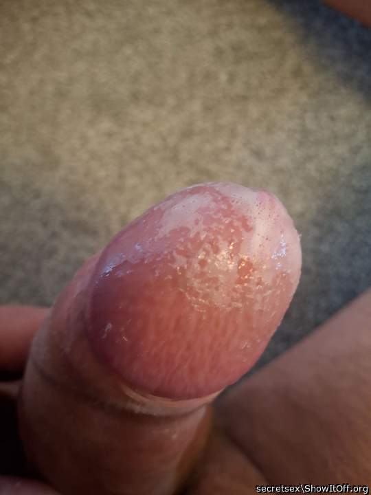 Photo of a rooster from secretsex