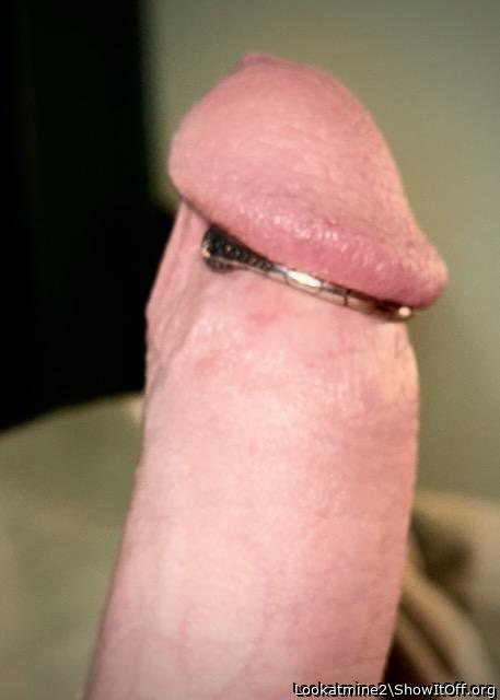 Dreamy Dick