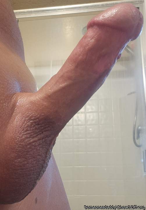 Photo of a bat from Someonesdaddy