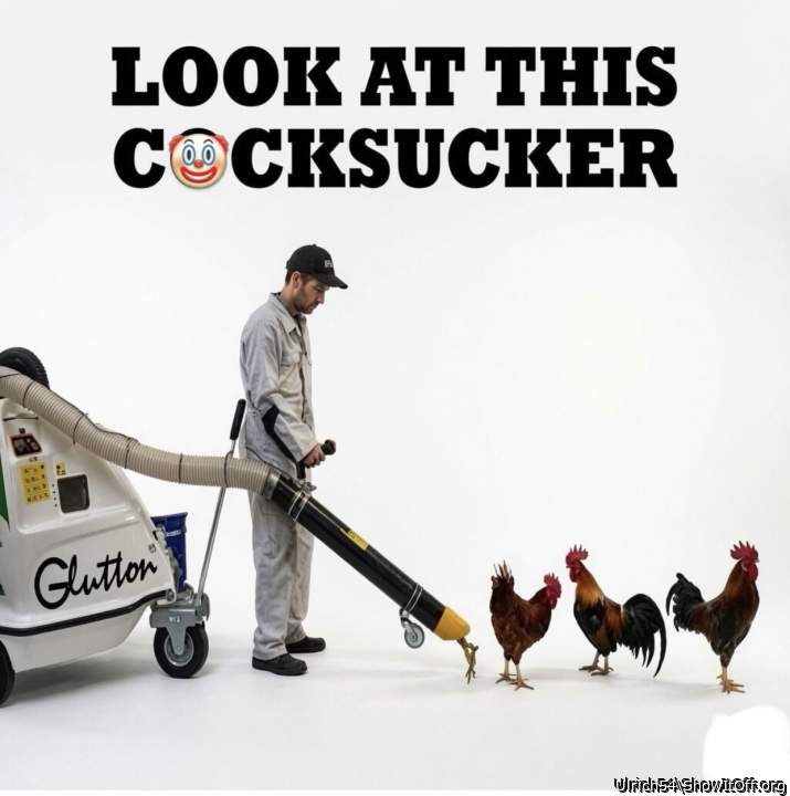 Photo of a rooster from Ulrich54