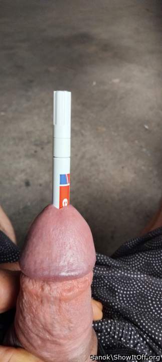 penis