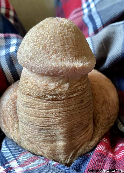 That's a beautiful dick 