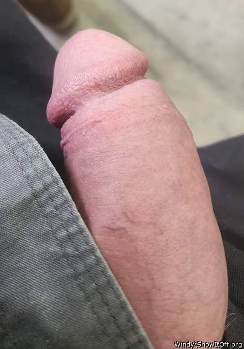 Photo of a stiffie from Windy