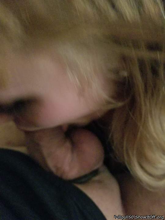 Photo of a cavalier from Fullpull50