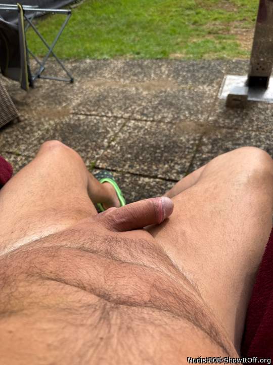 Photo of a rooster from Nudist808