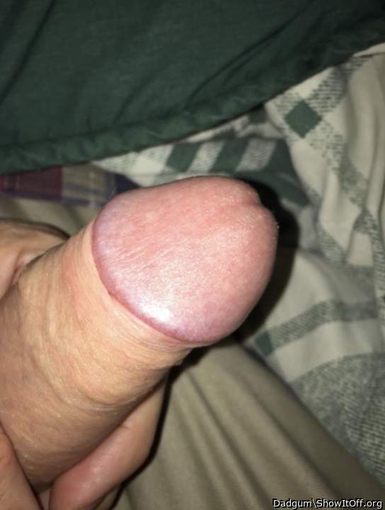 Photo of a sausage from Dadgum