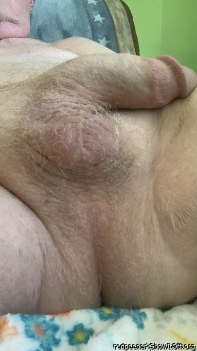 Photo of a bat from redpeener