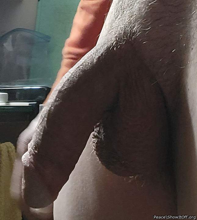 Photo of a rooster from Peace