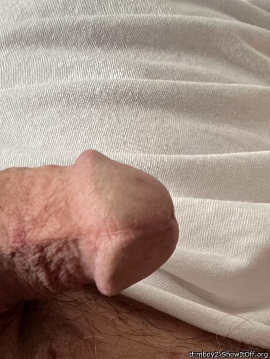 Photo of a bat from ttimboy2