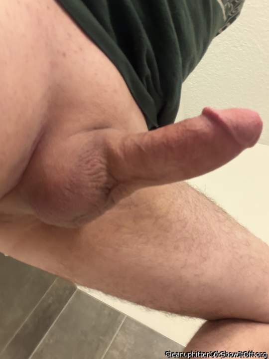 Photo of a lizard from Cleanuphitter16