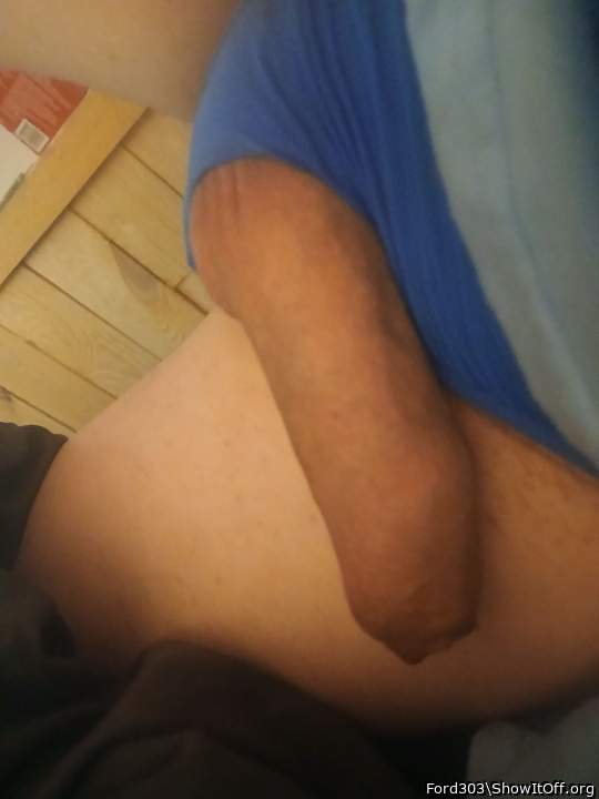 Photo of a bat from Ford303