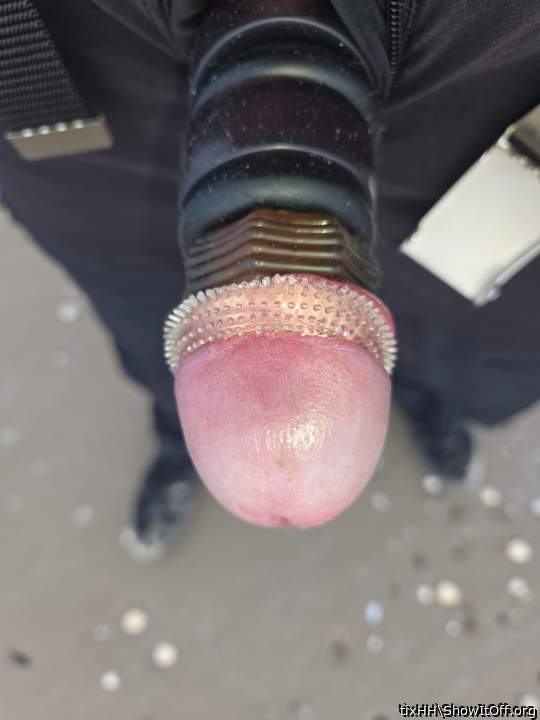 Photo of a schlong from tixHH