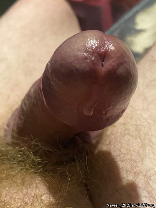 Photo of a power tool from Xavier_29