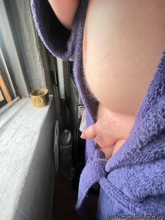 Photo of a weasel from DickFun1981