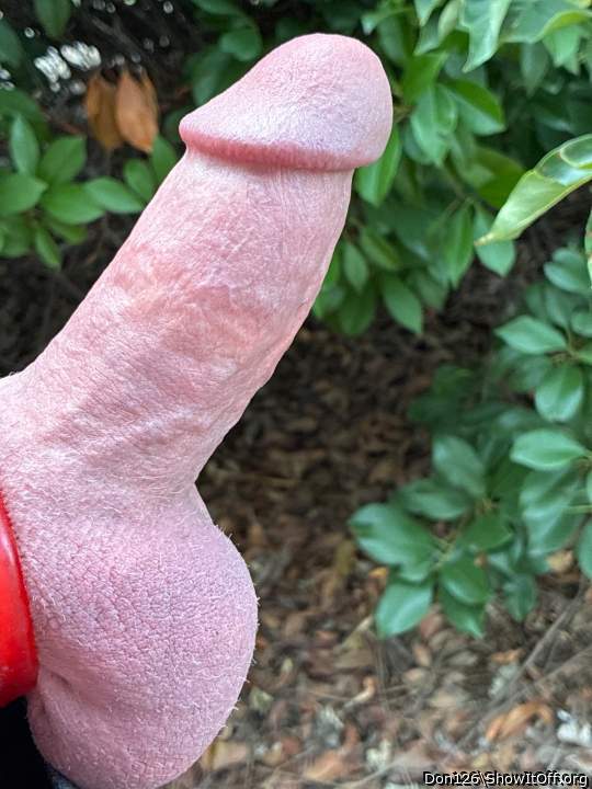 Photo of a hot dog from Don126