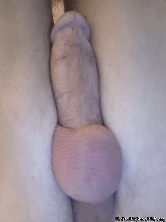 Photo of a cavalier from OldTex83