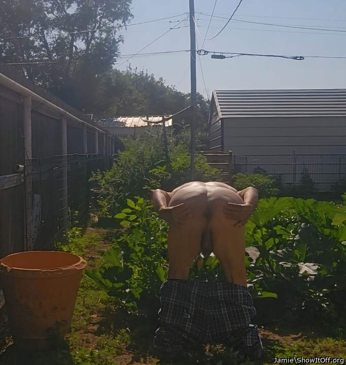 Any one or two COCKS wants to FUCK my ASSHOLE by my Garden 