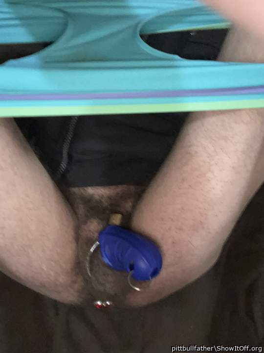 caged plugged on back legs spread.