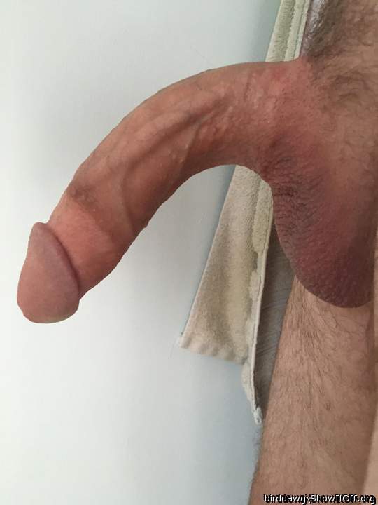 Absolutely hot curved cock!