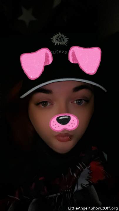 Photo of a dong from LittleAngel