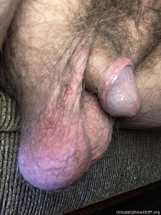 Hot handful of sexy balls and a delicious wet glans!!  