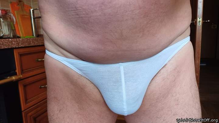 Photo of a middle leg from gebol
