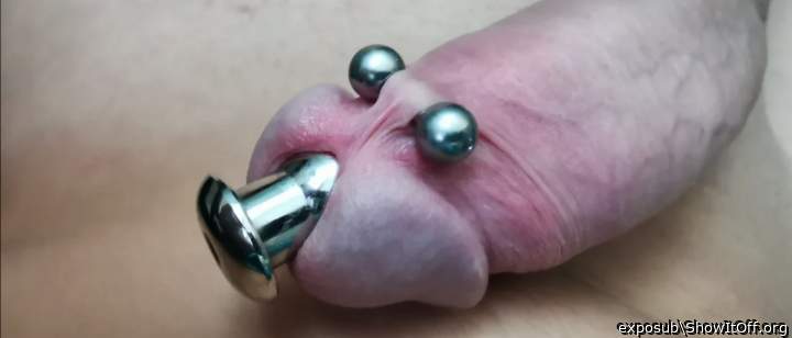 Marcels pierced cock