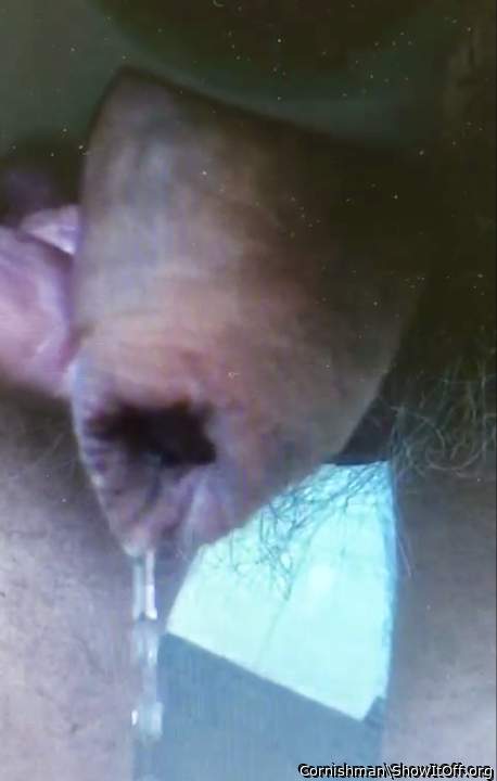 Photo of a member from Cornishman