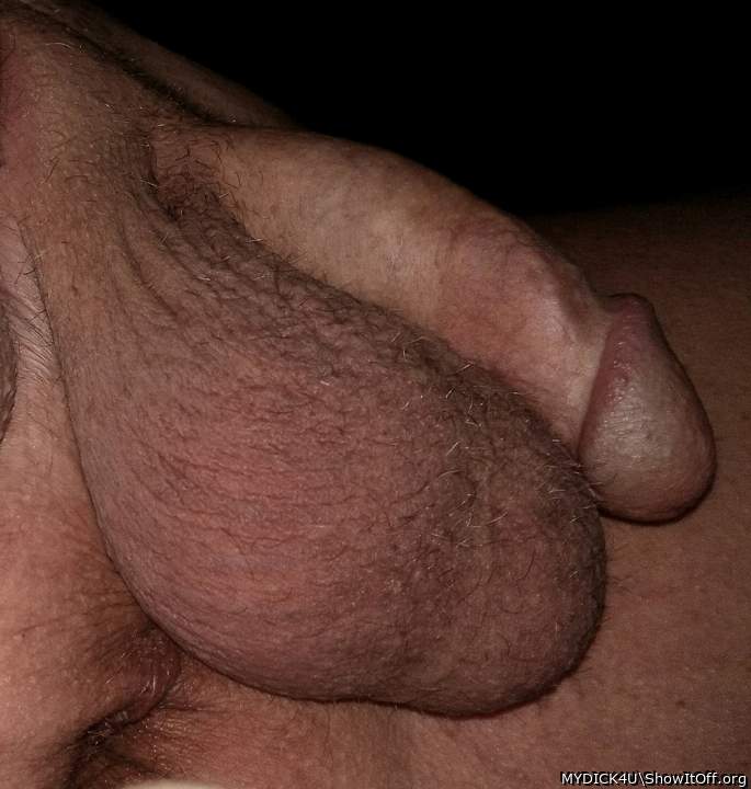 Photo of a cock from MYDICK4U