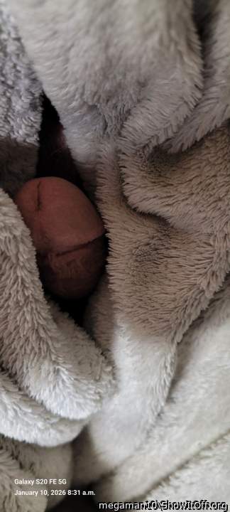 Photo of a dong from megaman10