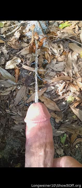 Photo of a penis from Longweiner10
