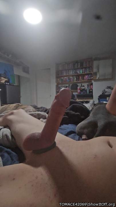 Photo of a pecker from TOMACE42069