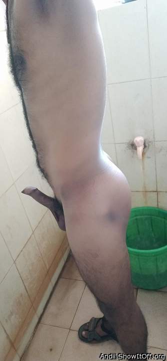 Photo of a middle leg from Andii