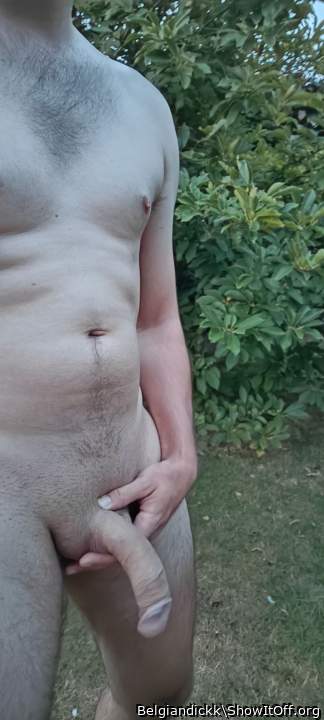 Photo of a wiener from Belgiandickk